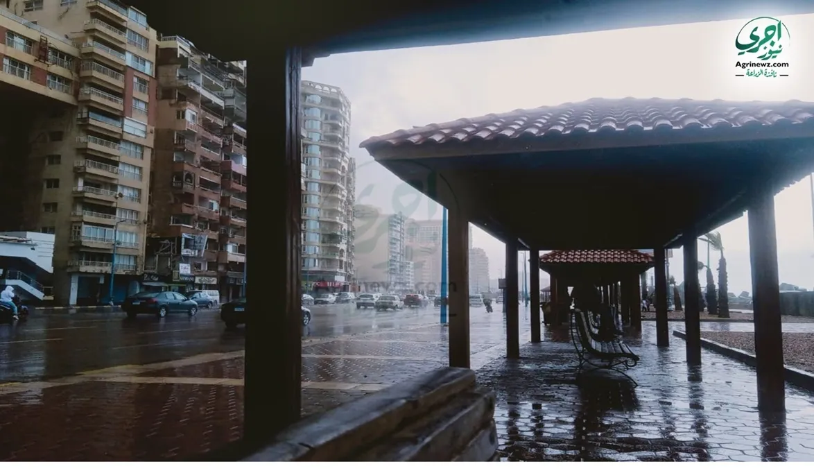 Severe Weather Strikes 11 Arab Countries, Causes Deaths