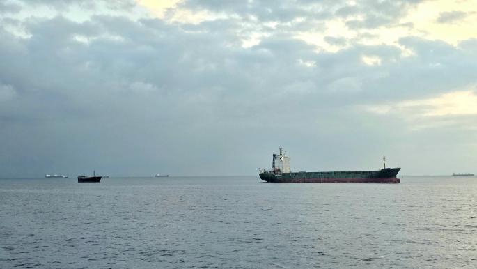 Shipping in the Strait of Hormuz Declines and Its Effects