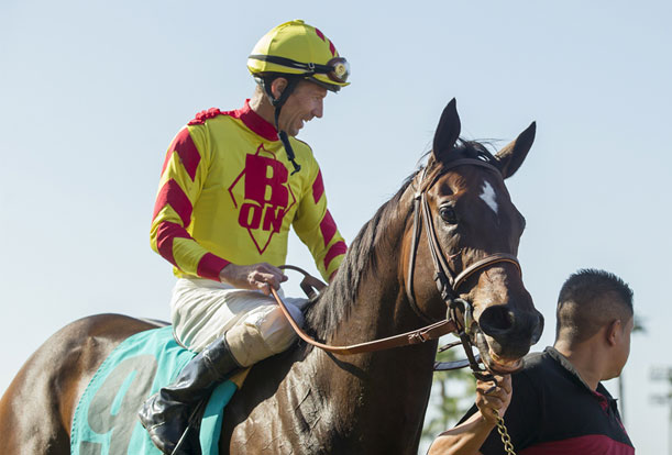 شراكة بين 25 نادي راشد للفروسية وشركة هارف