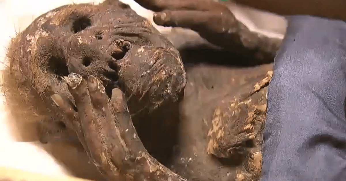 اكتشاف مومياء غريبة في اليابان يعيد أسطورة الكابا للواجهة