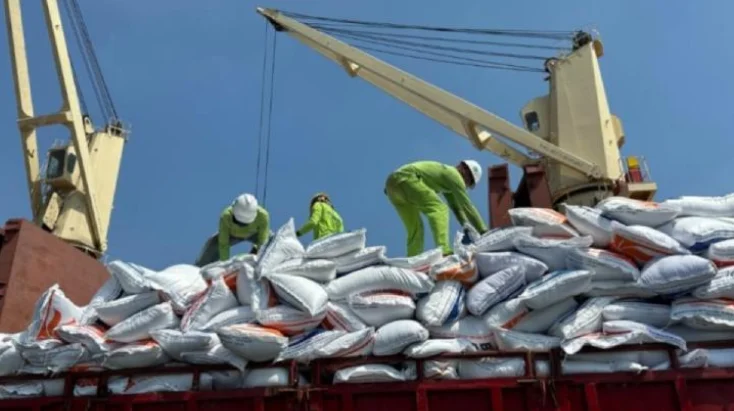 إندونيسيا تحقق 1.6 مليون طن من الأرز حتى أبريل 2026