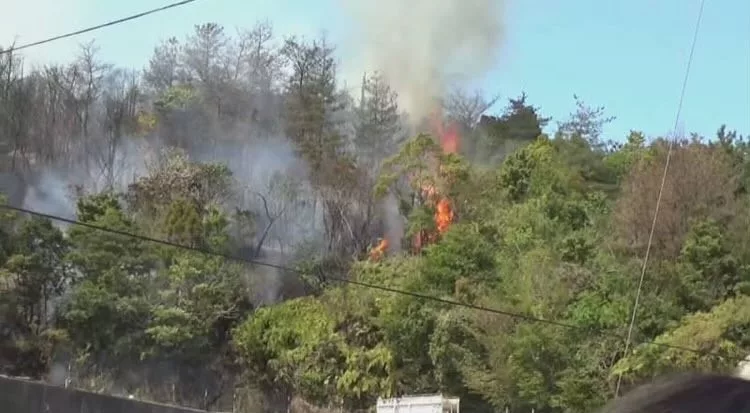 حرائق غابات في اليابان تؤدي لإجلاء 3000 شخص