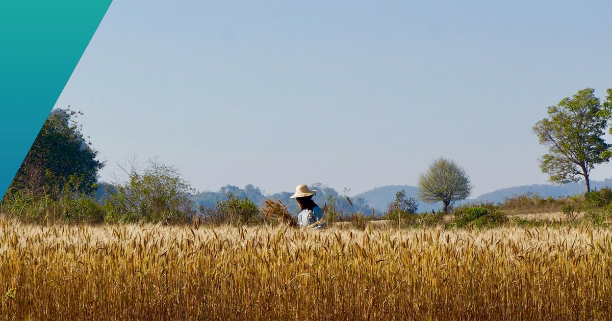 ماكرون يترأس قمة "صحة واحدة" في ليون