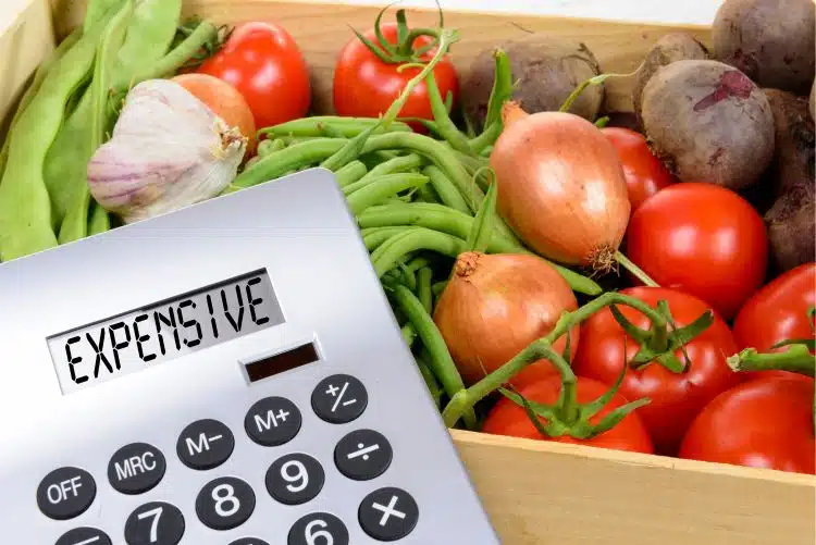 Lebensmittelpreise in Indonesien steigen: Chili und Hähnchen betroffen