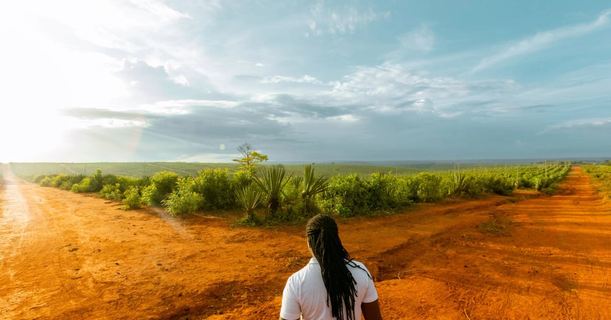 Neue Entwicklungen im Nahen Osten und Afrika 2026