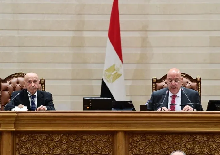 مصر تدعم استقرار ليبيا وأمنها القومي