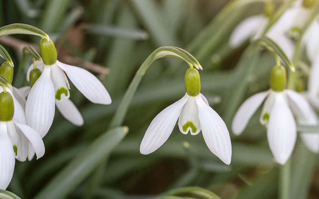 إيرلندا الشمالية تُقر إجازة مدفوعة للآباء بعد الإجهاض