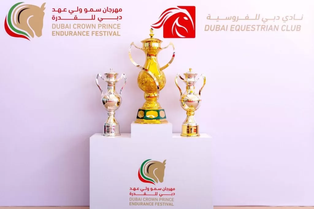Fathima Al-Mari gewinnt den Private Stables Cup in Dubai