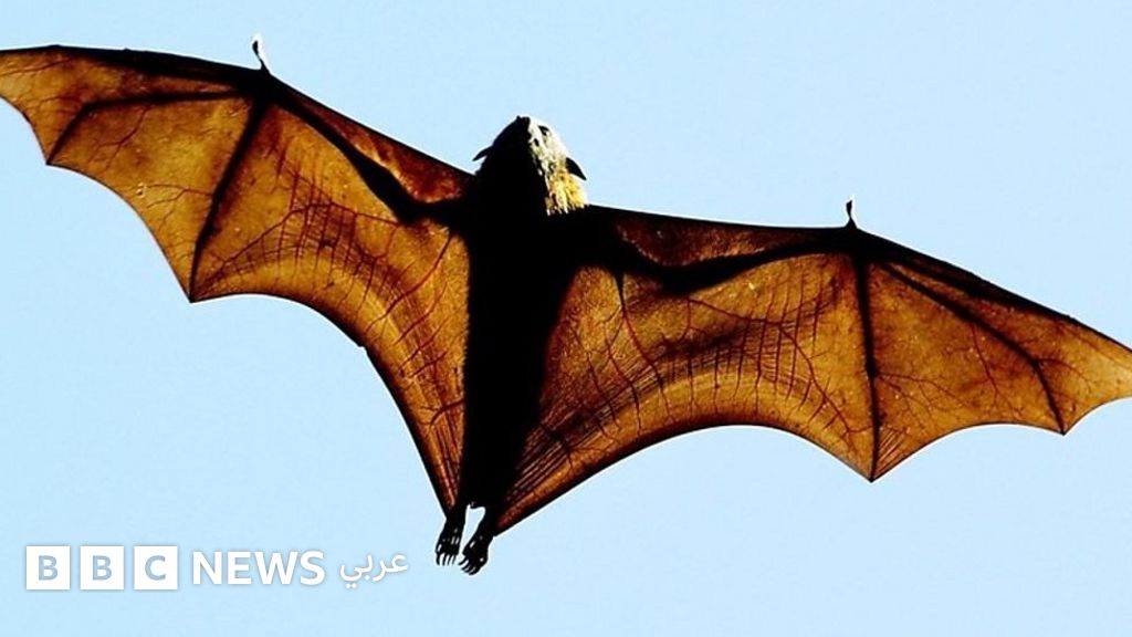 روبوتات طائرة مبتكرة تعيد تعريف الملاحة الجوية