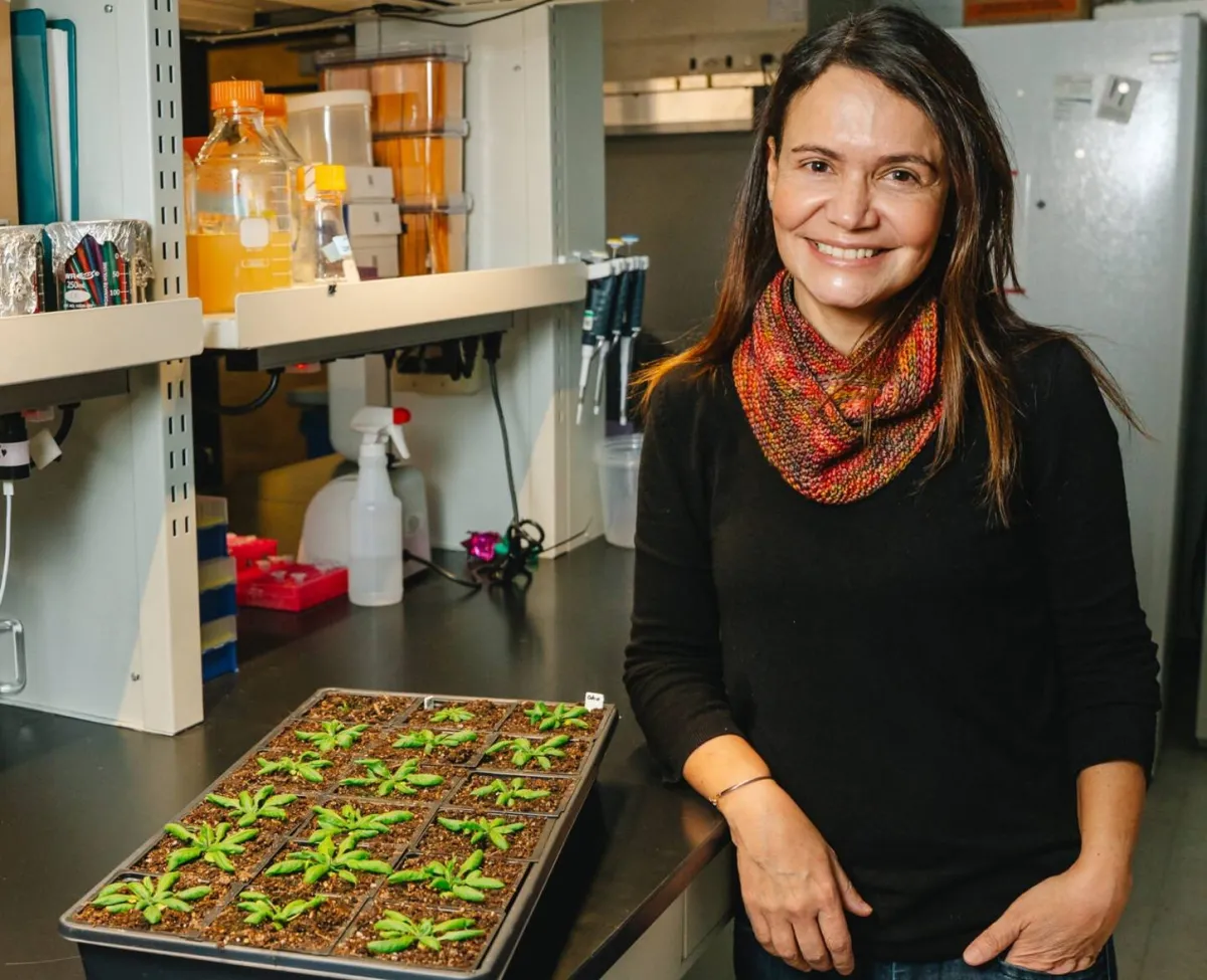 Échec du vol d'essai d'une fusée chinoise