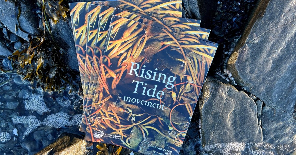 Préparations de l'Indonésie pour la marée haute en avril