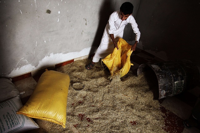 Sicherheitskampagnen in Nord-Sinai zur Stabilitätsförderung