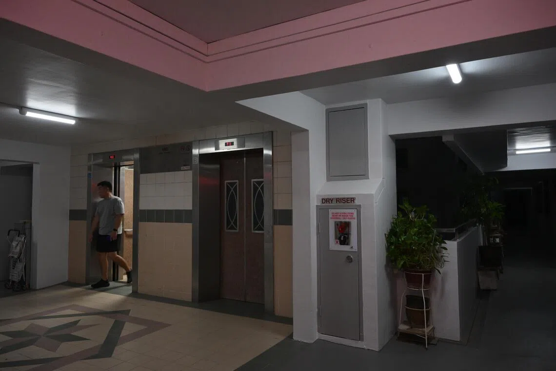 نجاح تجربة تامان جورونغ في تقليص استهلاك الطاقة