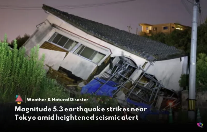 Erdbeben Tokio 5 Grad ohne Tsunami-Warnung