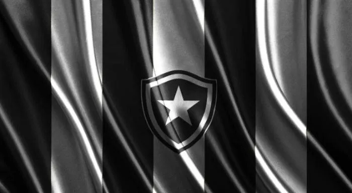 Botafogo verklagt Lyon auf Rückzahlung von 125 Millionen Euro