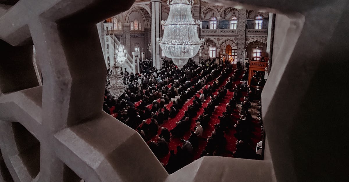 افتتاح المسجد الكبير في منشية قبريط بكفر الشيخ