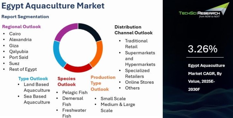 مصر تُدرج في قائمة تصدير الاستزراع السمكي إلى الاتحاد الأوروبي
