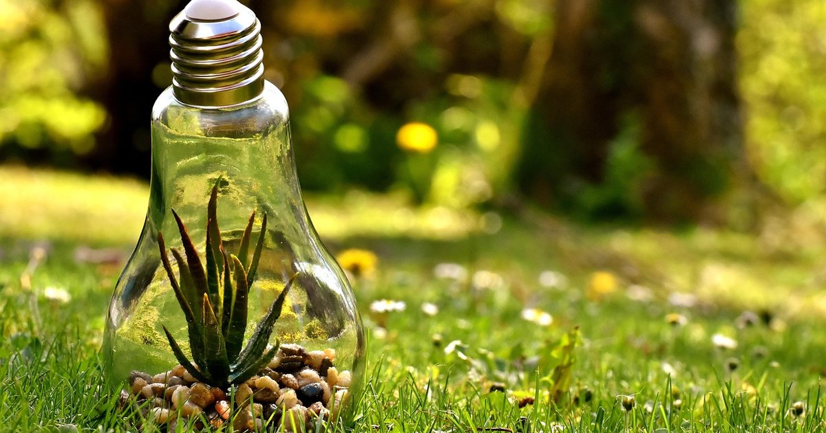 Umweltschutz: Bürger im Königlichen Naturschutzgebiet erwischt