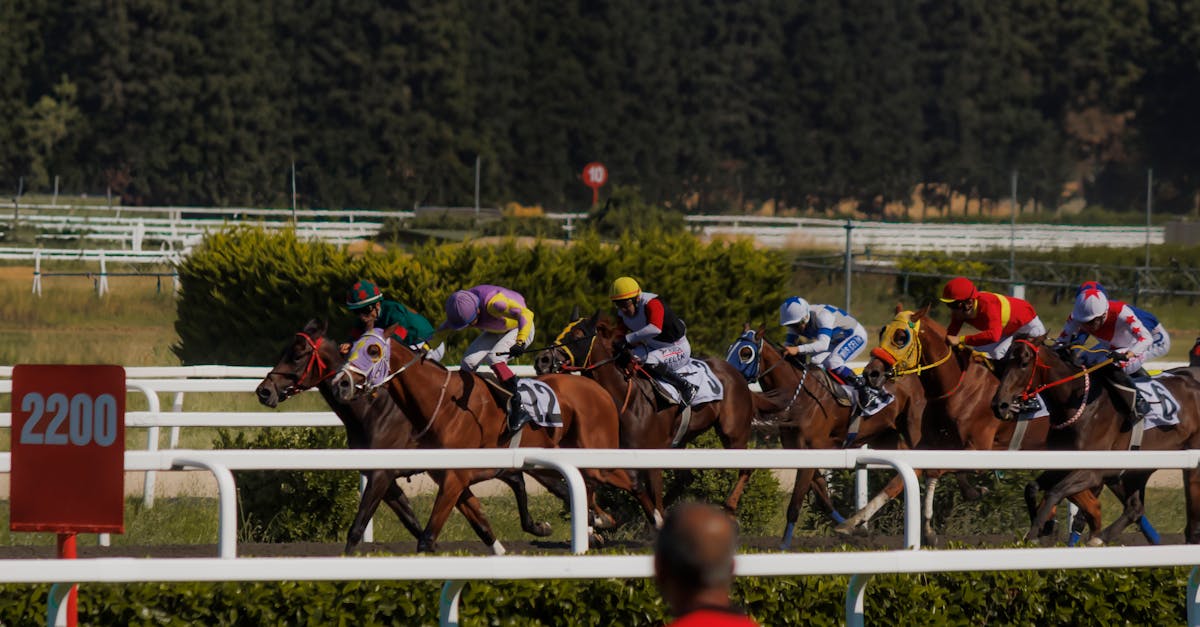 Godolphin domine le Dubai Turf lors de la Dubai World Cup