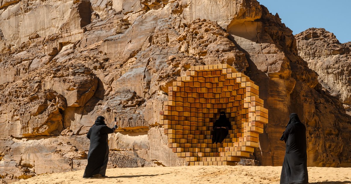 زهرة الأقحوان في العُلا: جمال الطبيعة في الربيع