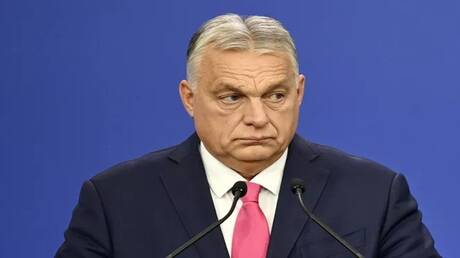 Ukrainian Intervention in Hungarian Elections Impact