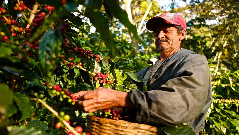 China öffnet Markt für Kaffee aus Afrika