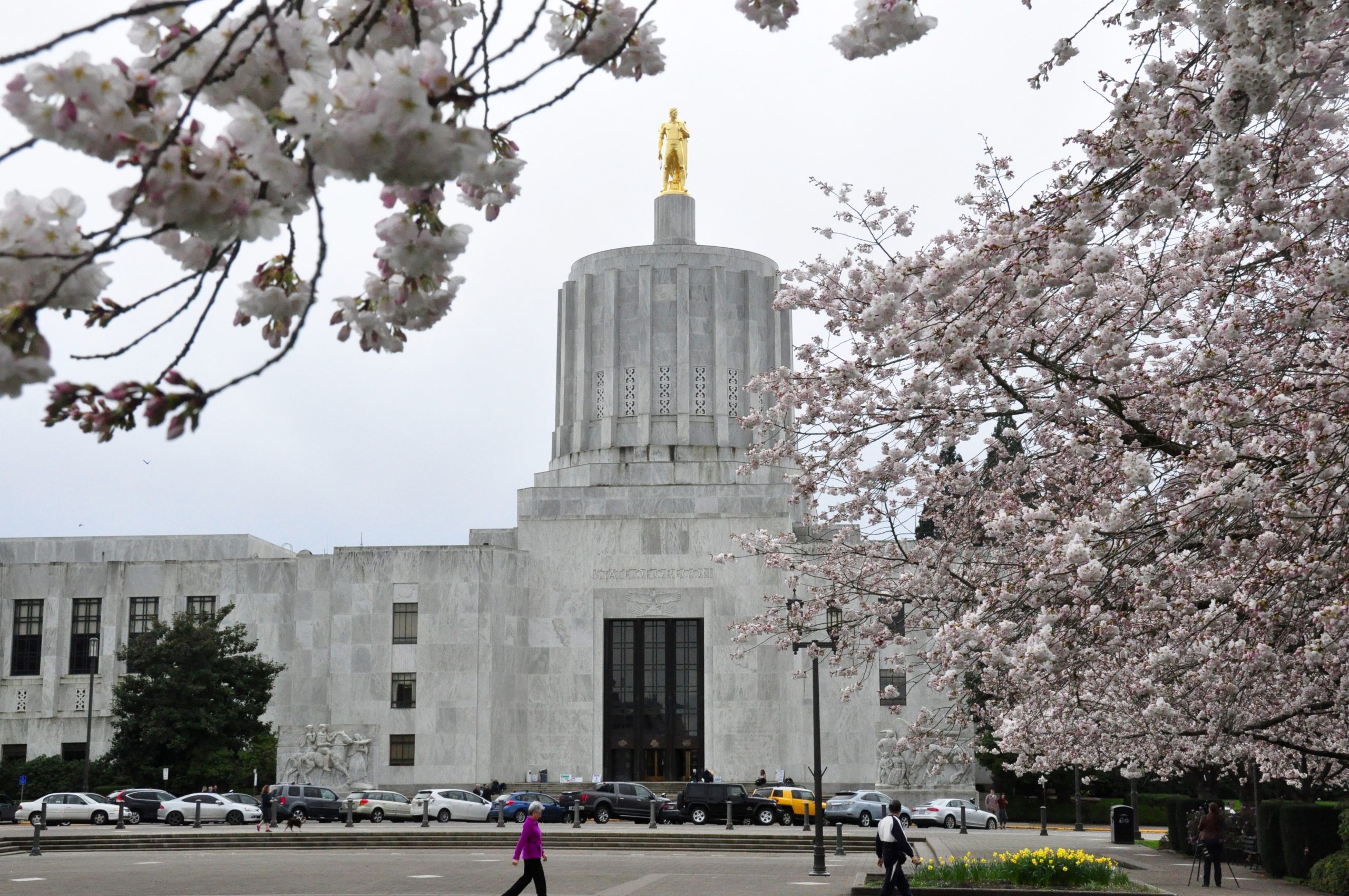 منطقة معلوماتية جديدة في جاكرتا لتعزيز الشفافية