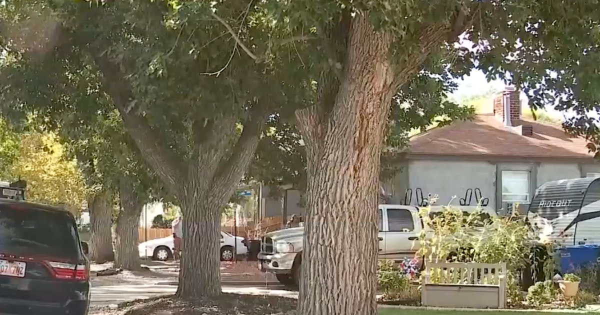 Dispositif explosif dans un quartier résidentiel à New York