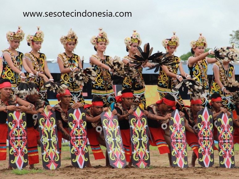 Mahoni-Wald in Kutai Kartanegara: Natürlicher Rückzugsort