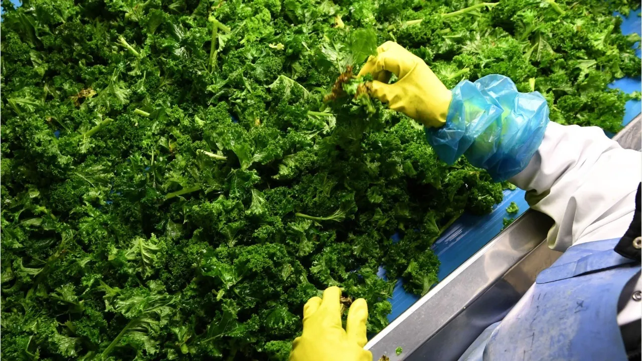 Spinat und Erdbeeren: Pestizidbelastung 2026