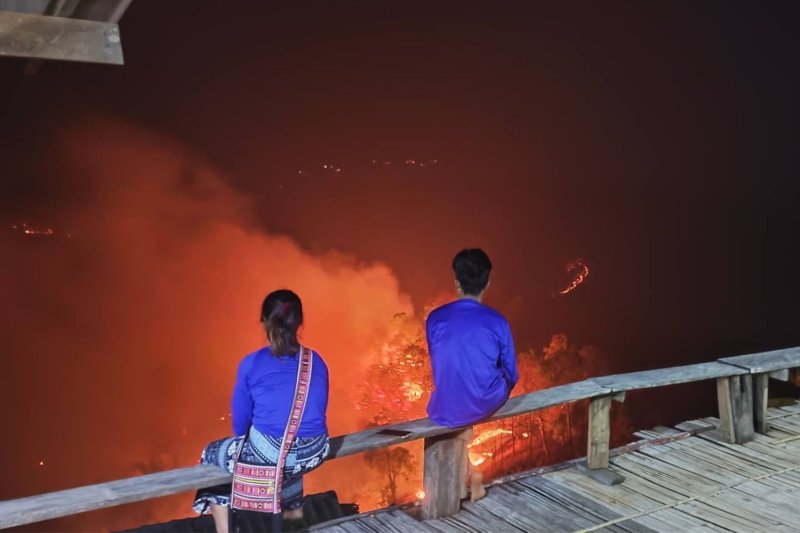 Wildfires in Thailand: Growing Environmental Crisis