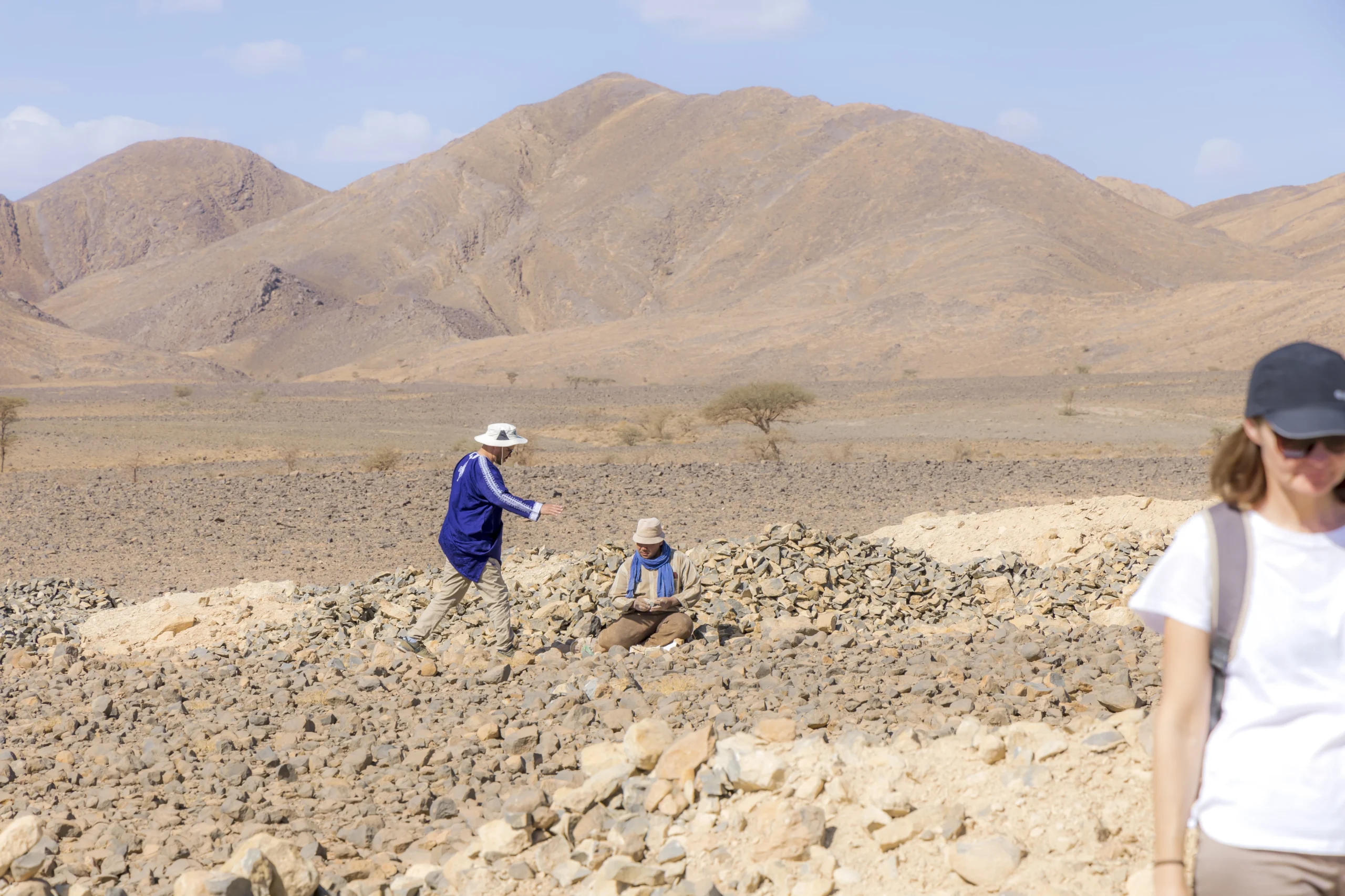 أحافير الديناصورات في المغرب: ثروة طبيعية فريدة