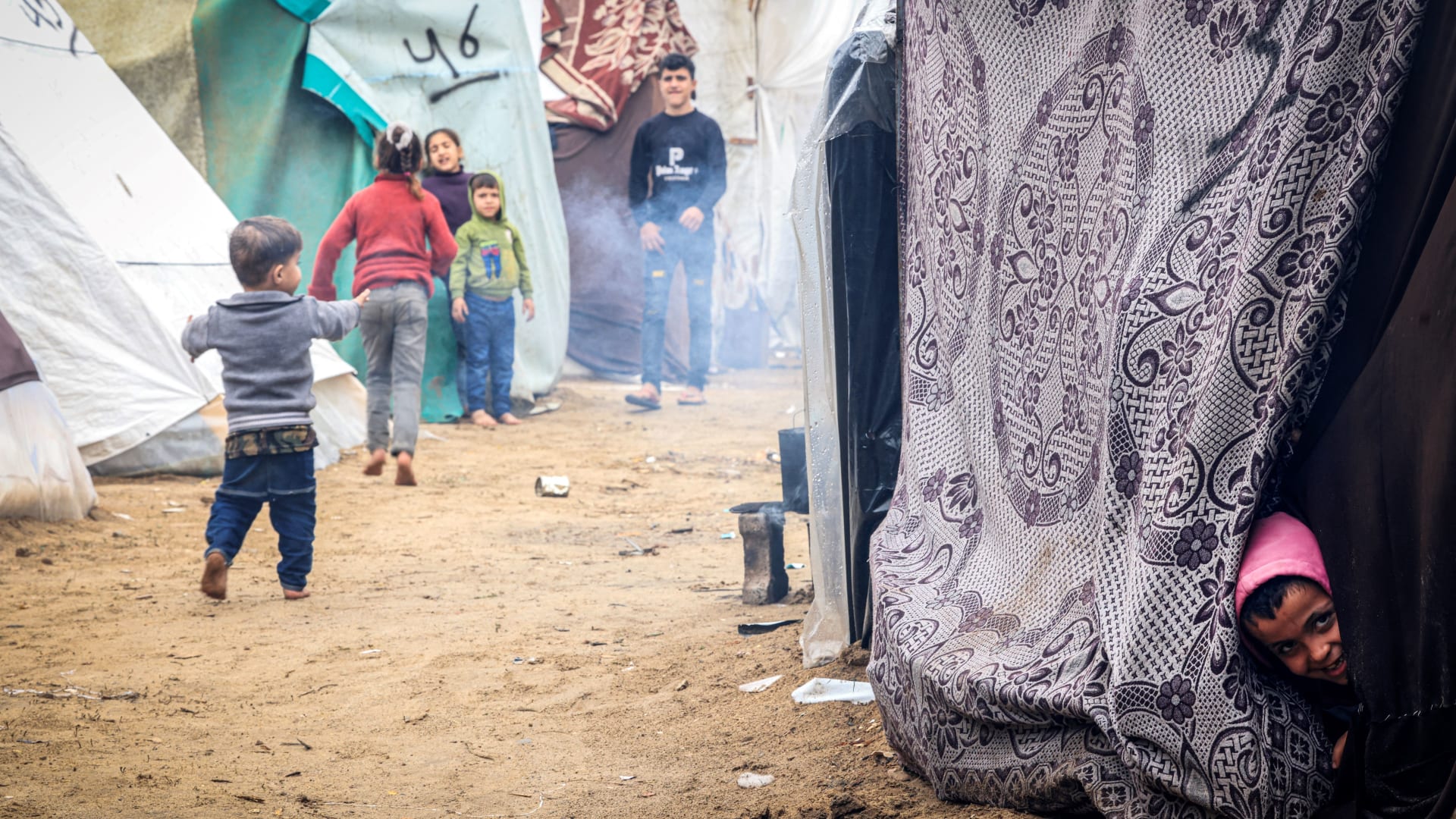 Enfants de Gaza victimes de morsures de rats dans les tentes