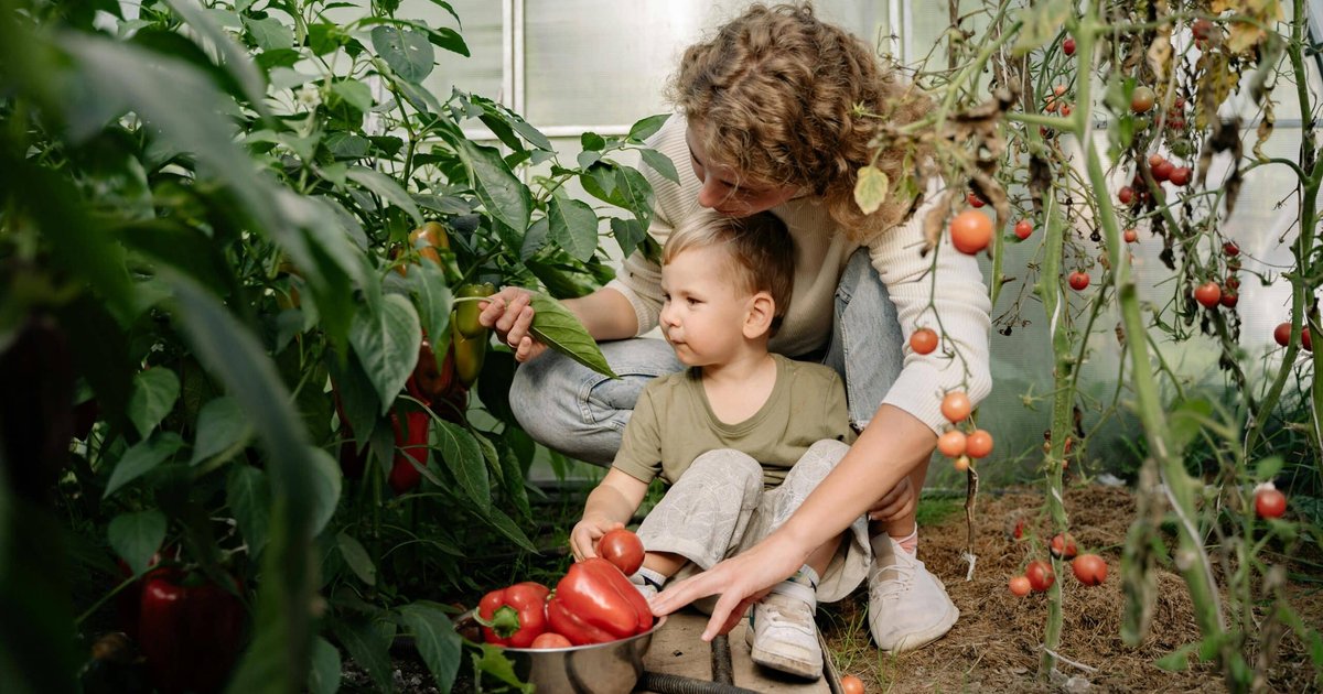 دروس في الاكتفاء الذاتي لحياة أفضل