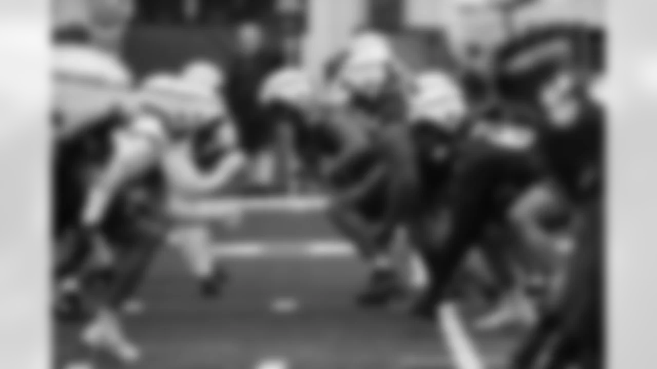 بافيا ينضم إلى معسكر بالتيمور رافنز