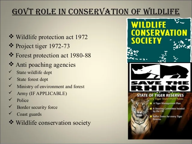 ضبط مخالف لنظام البيئة يمارس الصيد غير القانوني