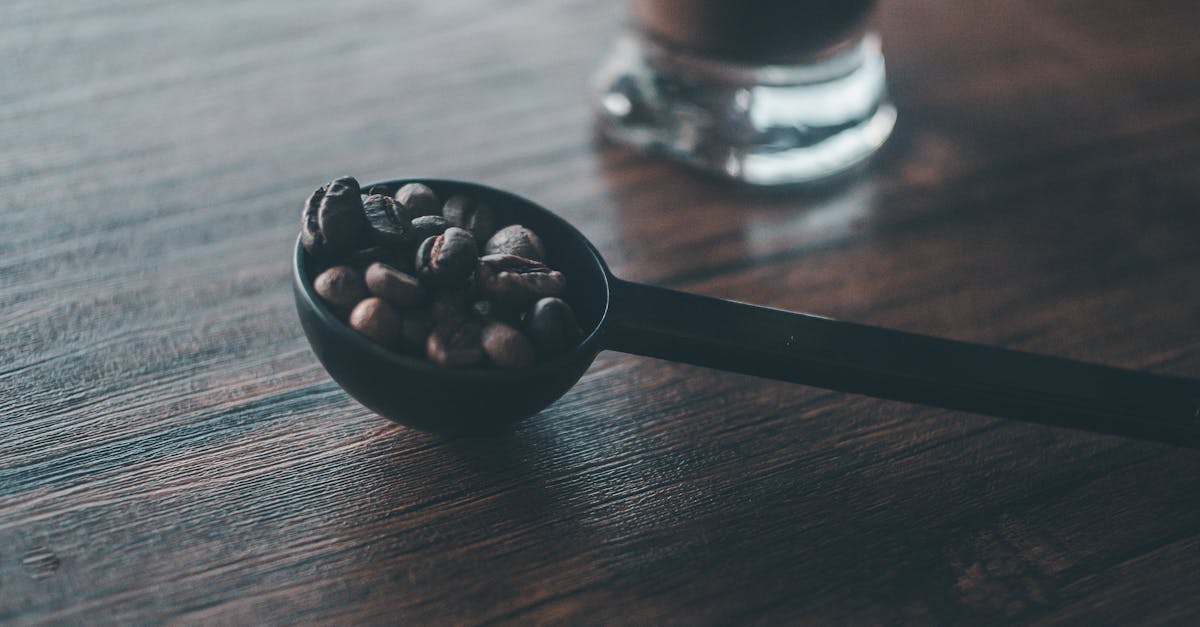 قهوة البروتين: فوائدها وأثرها على نمط الحياة