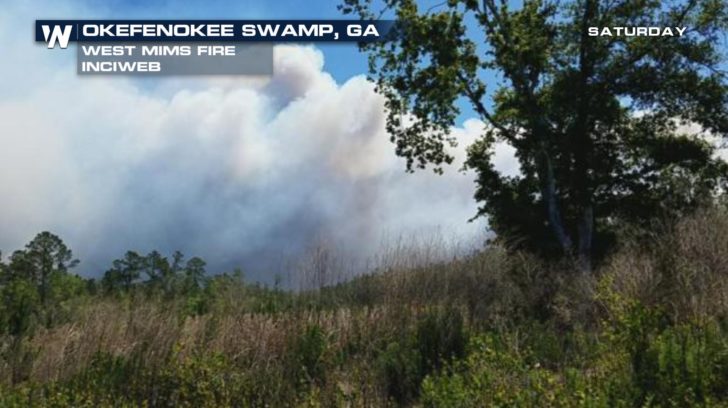 حرائق غابات جورجيا: إجلاء محتمل مع تزايد النيران