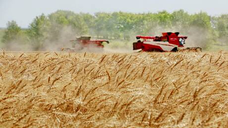 تراجع أسعار القمح والذرة بعد اتفاق وقف إطلاق النار