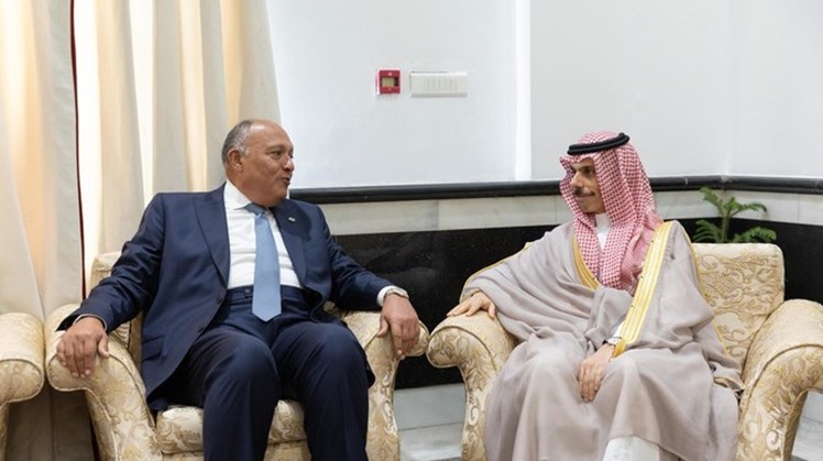 Renforcer la coopération saoudienne-égyptienne