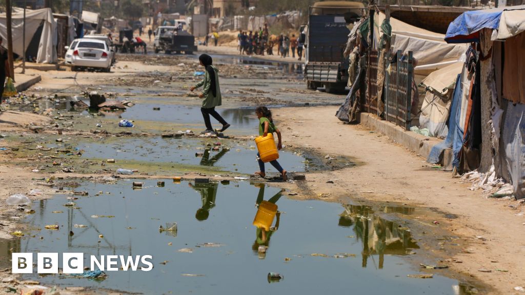 Warnings of plague outbreak risk in Gaza due to rodents