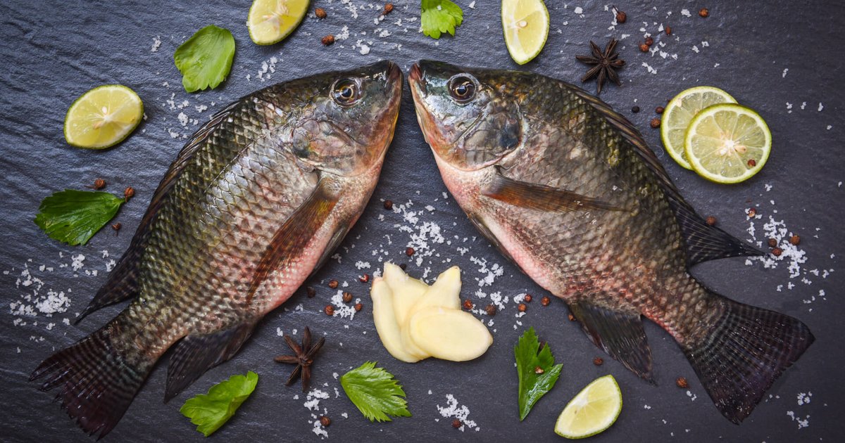 Stabilize Prices of Sardines and Tilapia in Egyptian Markets