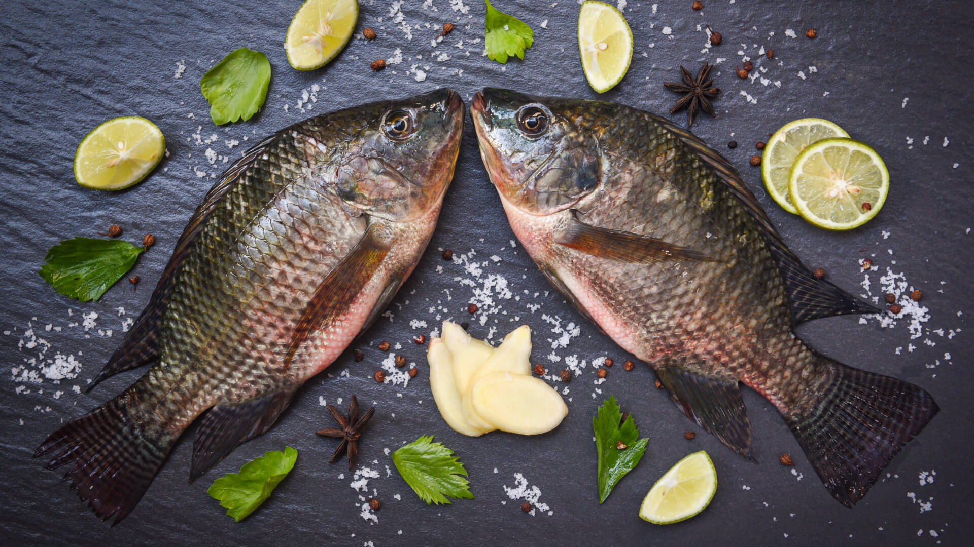 أسعار السمك السردين والبلطي في الأسواق المصرية