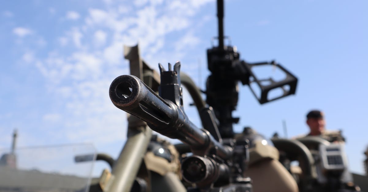 Israel supports Trump's military strike halt on Iran