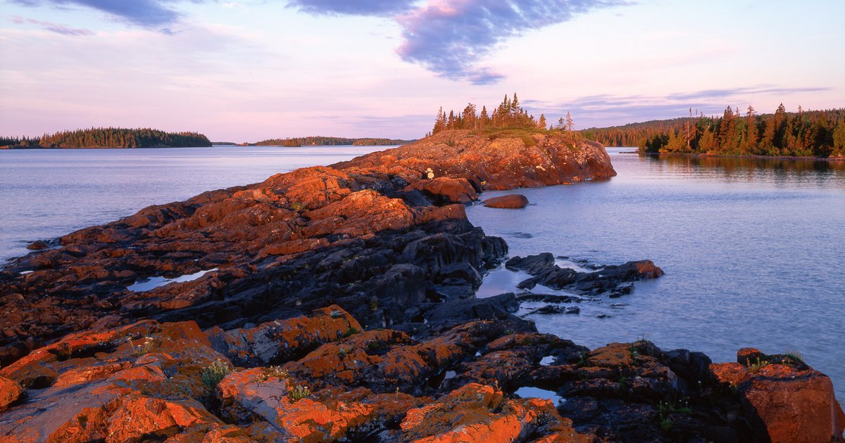 Wölfe auf der Isle of Superior prosperieren durch Elchjagd