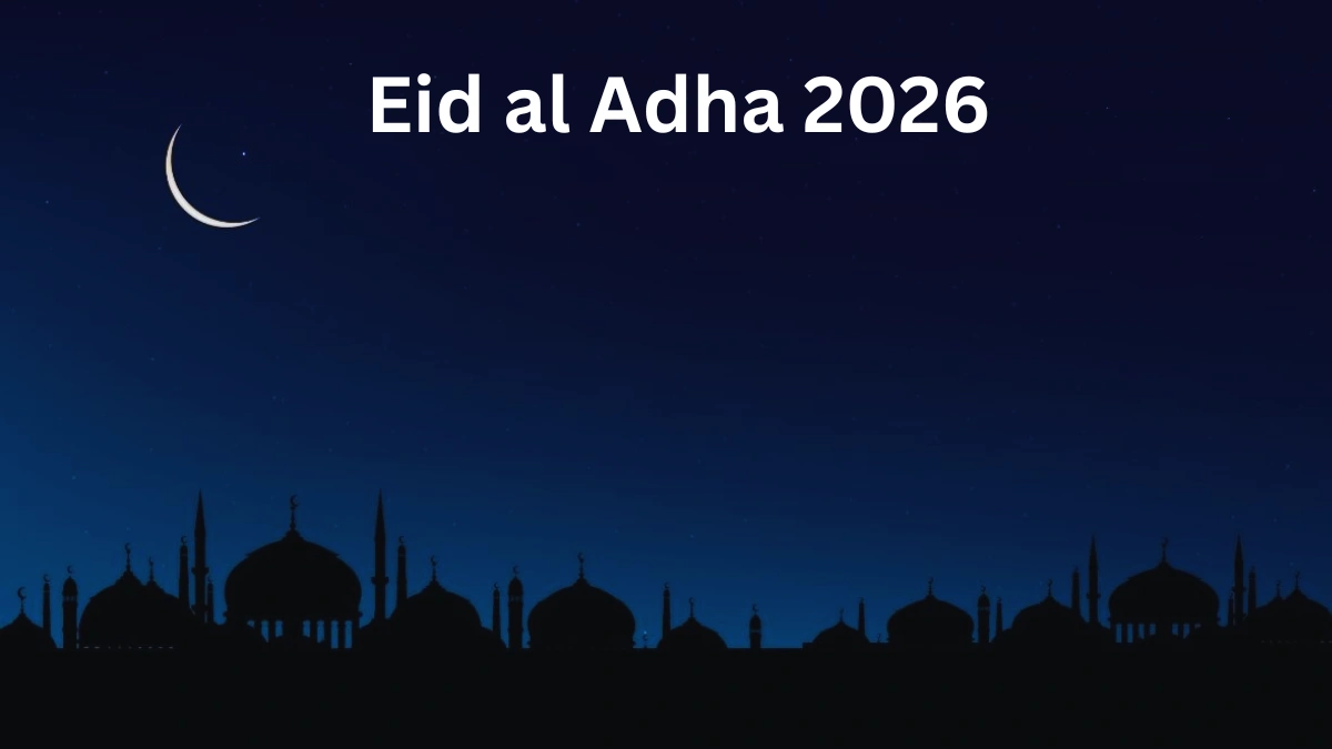 تقرير حول رضا الجمهور عن تنظيم سفر عيد الأضحى 2026