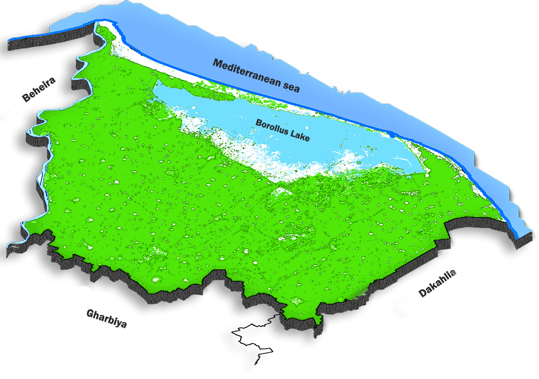 Champions de Kafr el-Sheikh : succès en haltérophilie paralympique