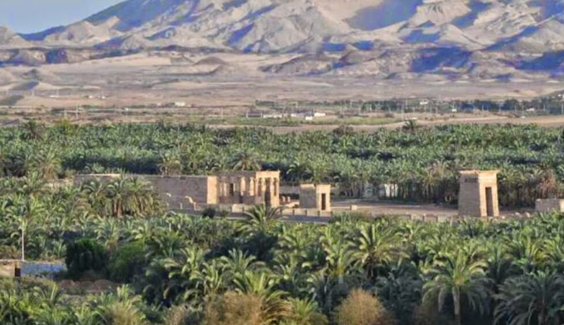 رفع الاستعداد في الوادي الجديد لمواجهة التحديات الخدمية