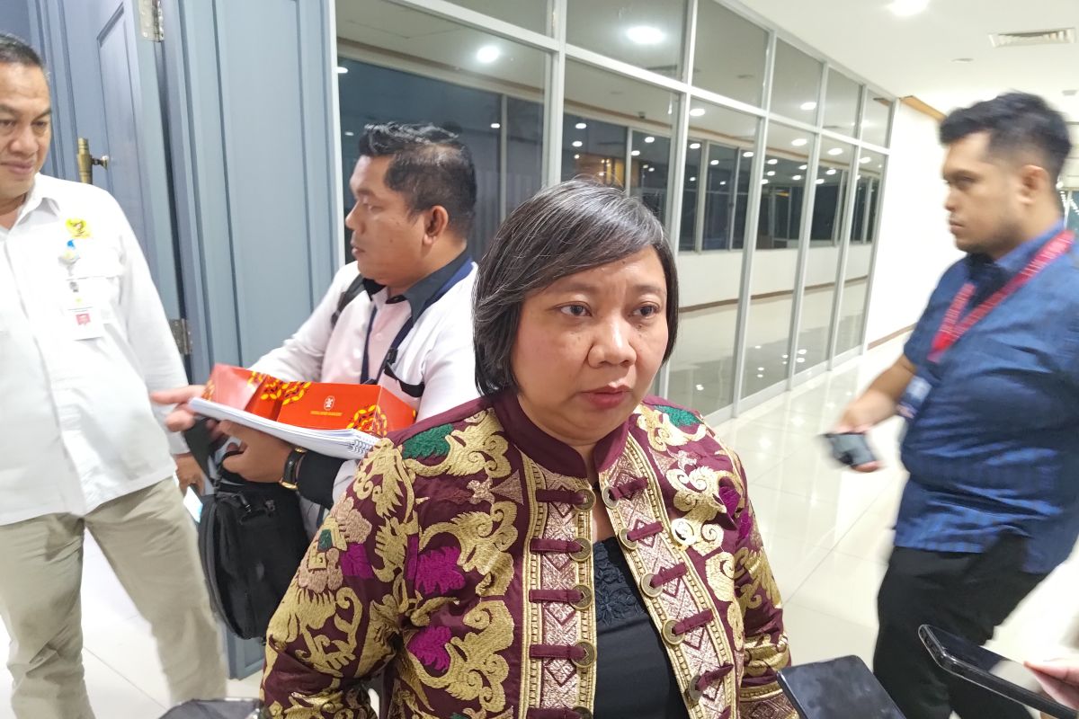 برنامج الأمن الغذائي في إندونيسيا