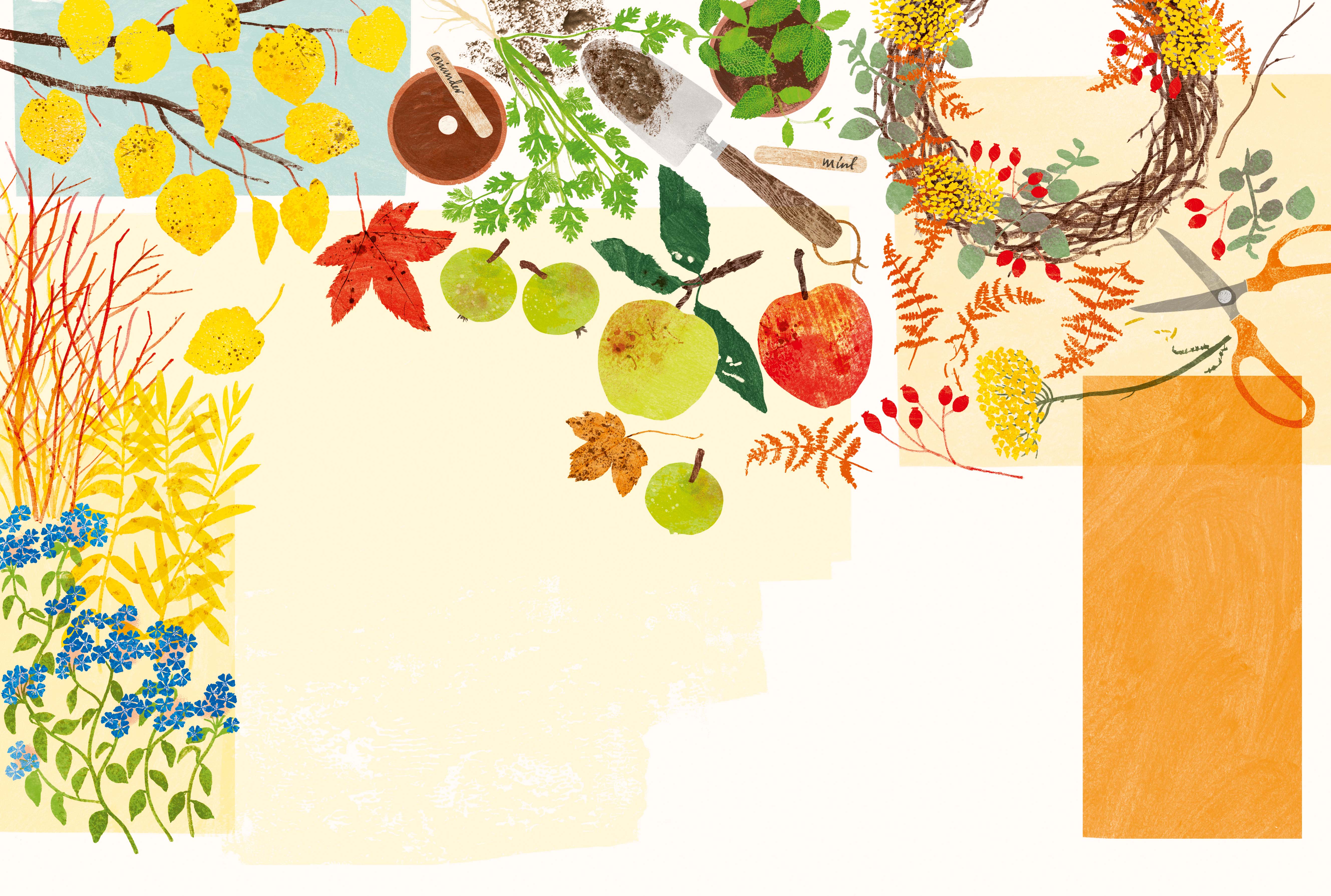 زيادة أتوبيسات مواصلات العاصمة على خط دهشور الحصري